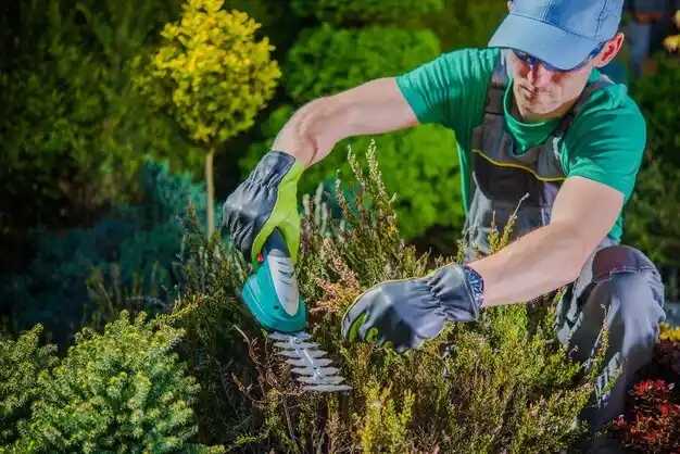 landscaping services Millersburg